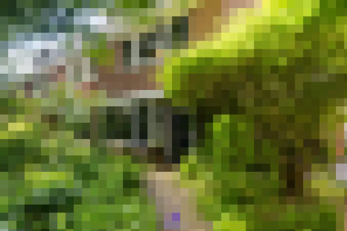 Laan van Cattenbroeck 83 Zeist thumbnail 42