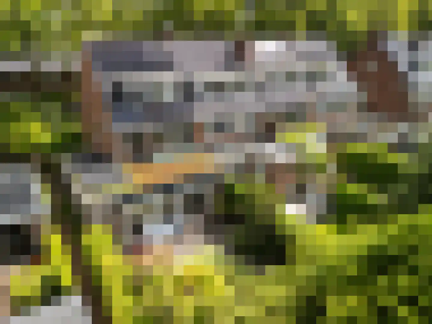 Laan van Cattenbroeck 83 Zeist thumbnail 44