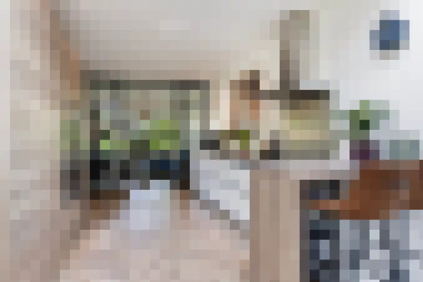 Laan van Cattenbroeck 83 Zeist thumbnail 5
