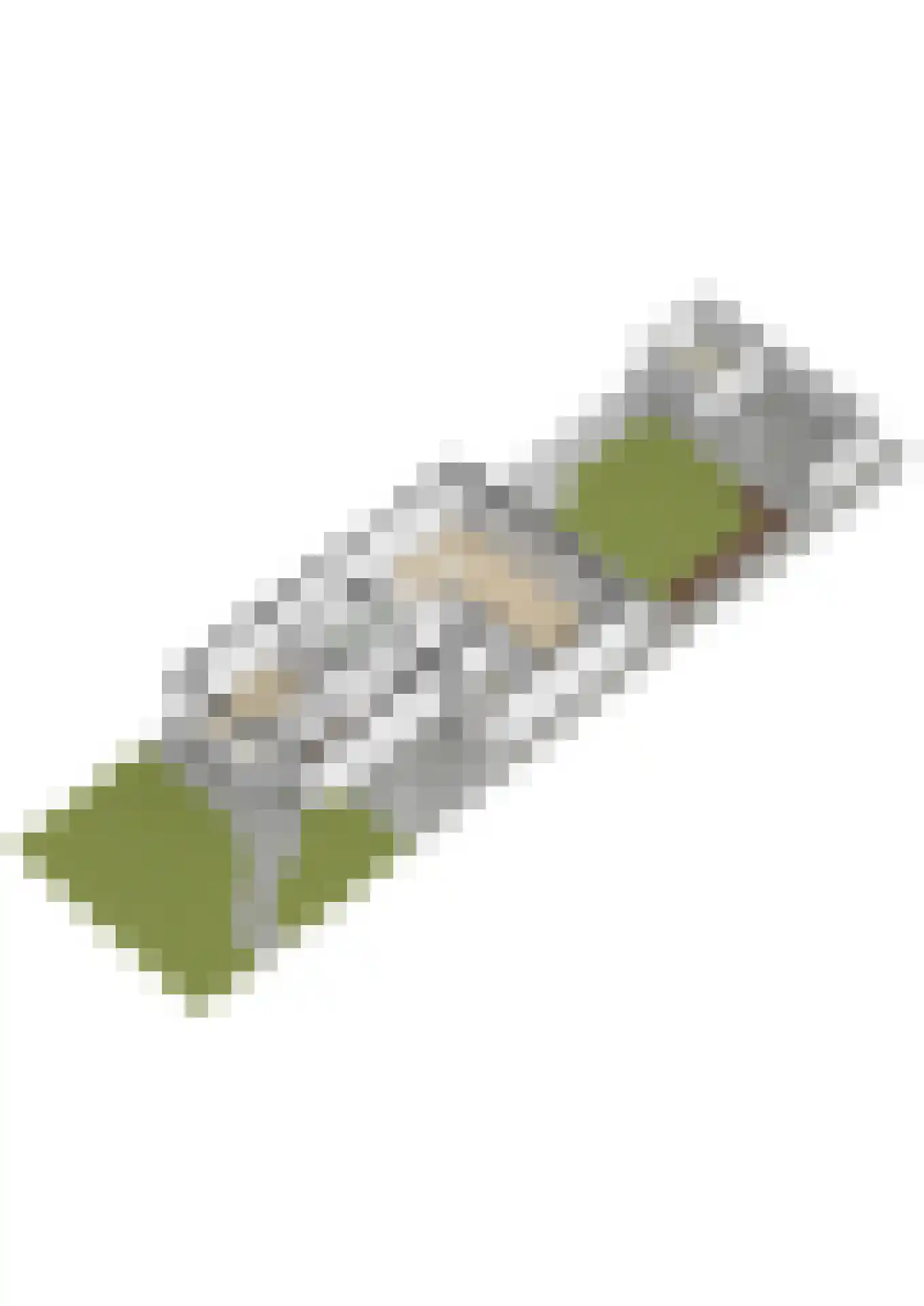 Laan van Cattenbroeck 83 Zeist thumbnail 59