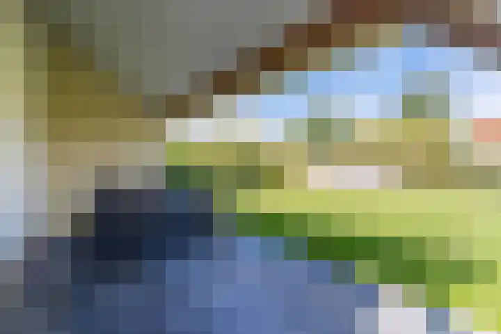 Laan van Cavelot 111 Cadzand thumbnail 22