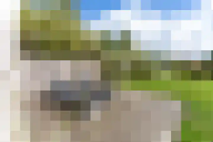 Laan van Cavelot 111 Cadzand thumbnail 23