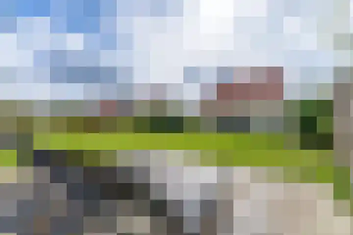 Laan van Cavelot 111 Cadzand thumbnail 24