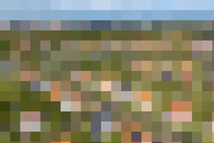 Laan van Cavelot 111 Cadzand thumbnail 30