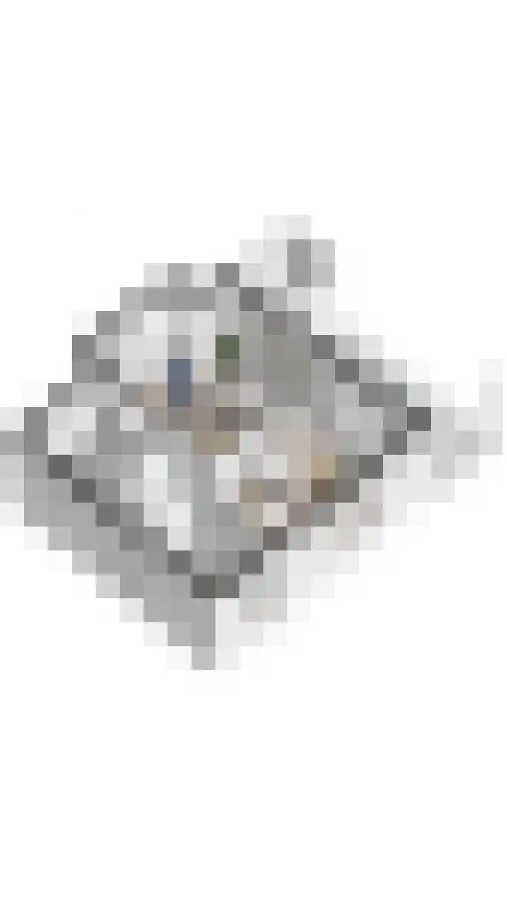 Laan van Cavelot 111 Cadzand thumbnail 33