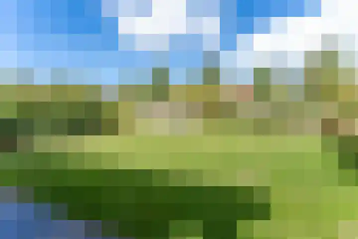 Laan van Cavelot 111 Cadzand thumbnail 4