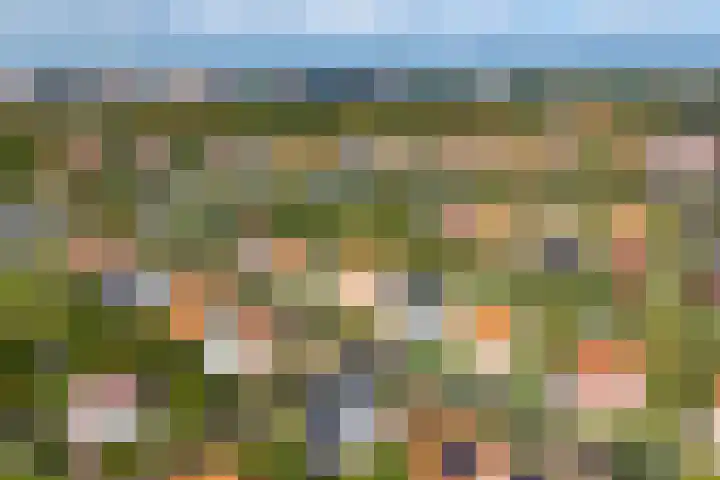 Laan van Cavelot 111 Cadzand thumbnail 5