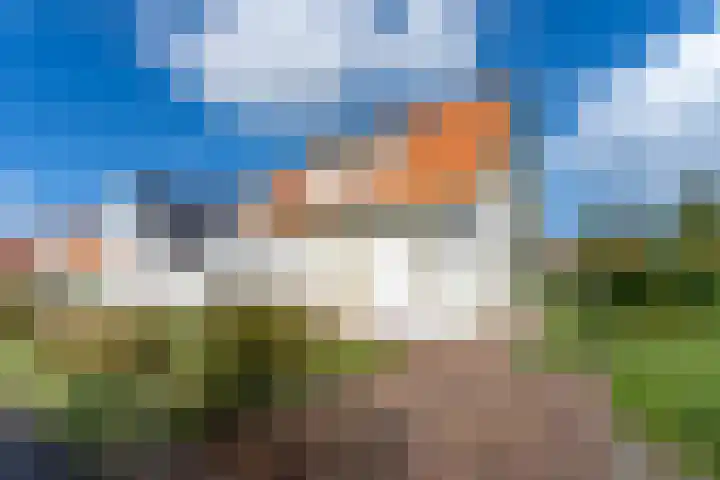 Laan van Cavelot 111 Cadzand thumbnail 6
