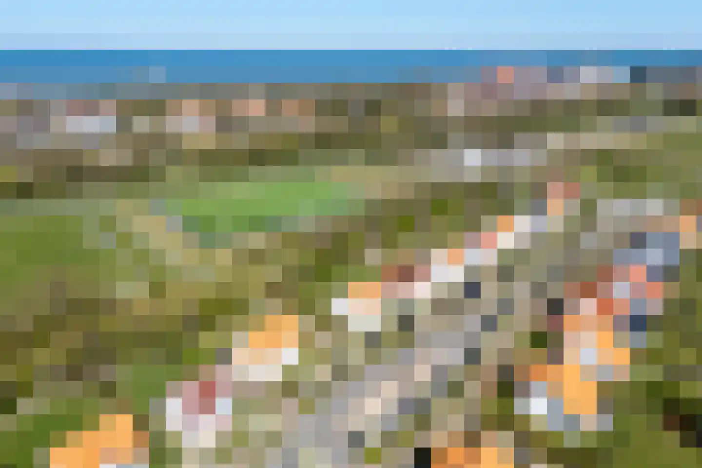 Laan van Cavelot 18 Cadzand thumbnail 30