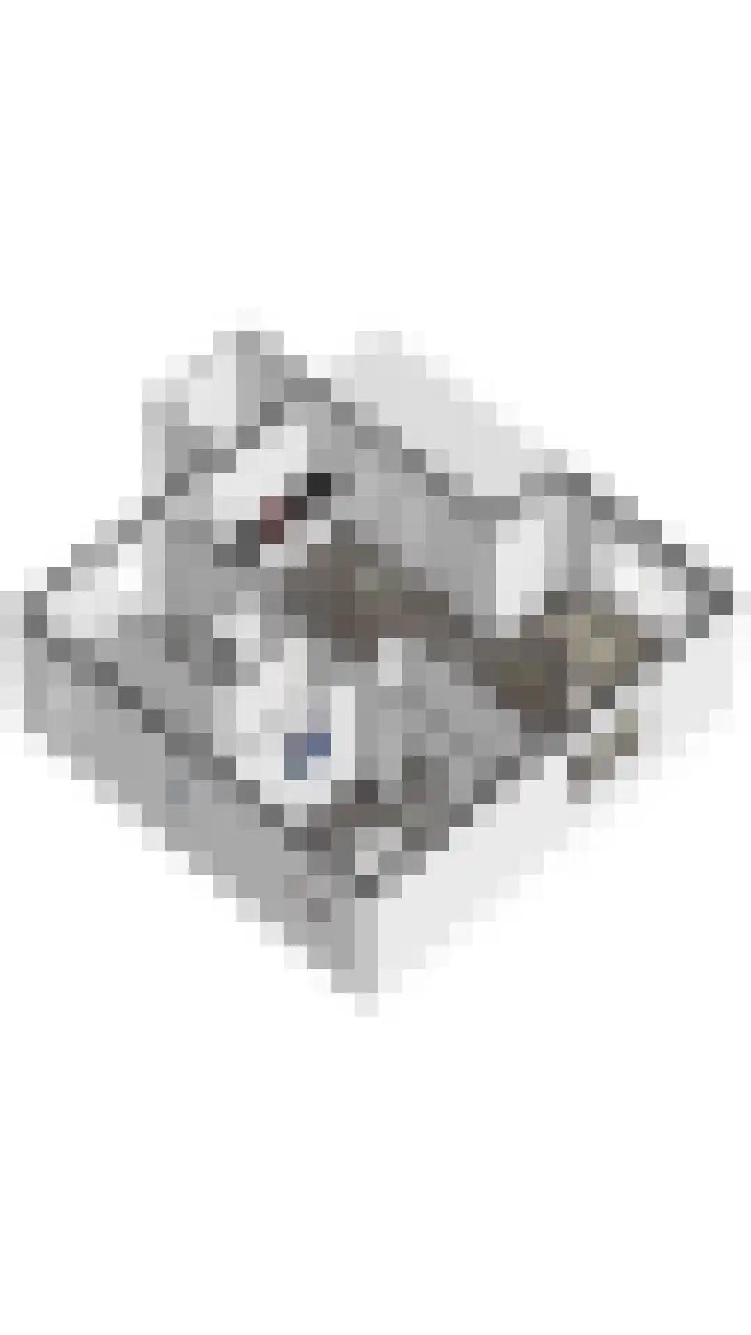 Laan van Cavelot 18 Cadzand thumbnail 35
