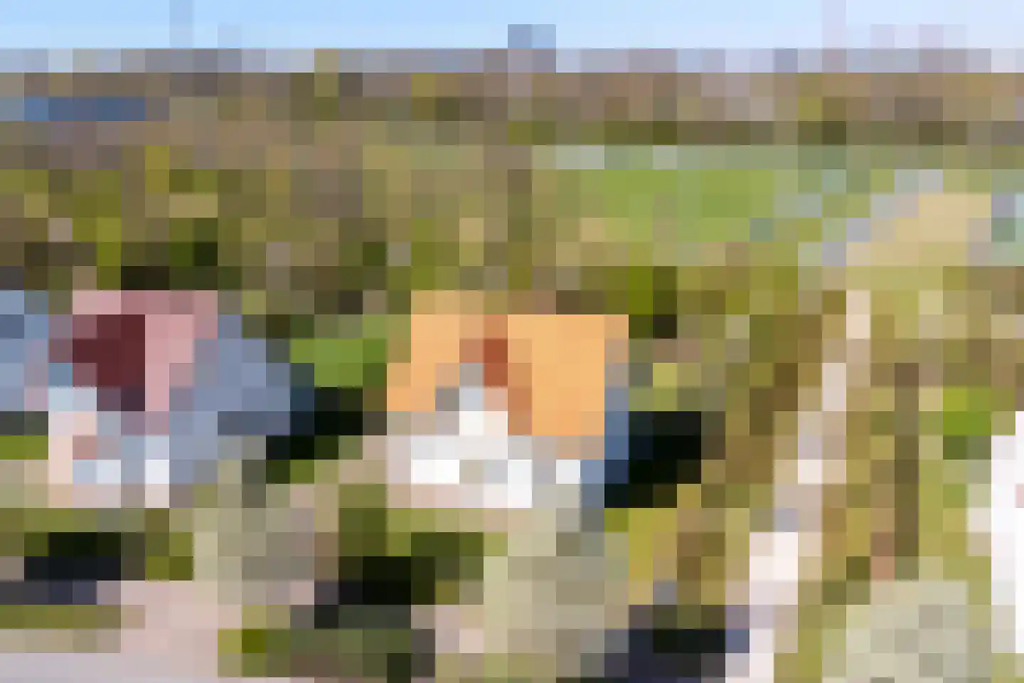 Laan van Cavelot 18 Cadzand thumbnail 5