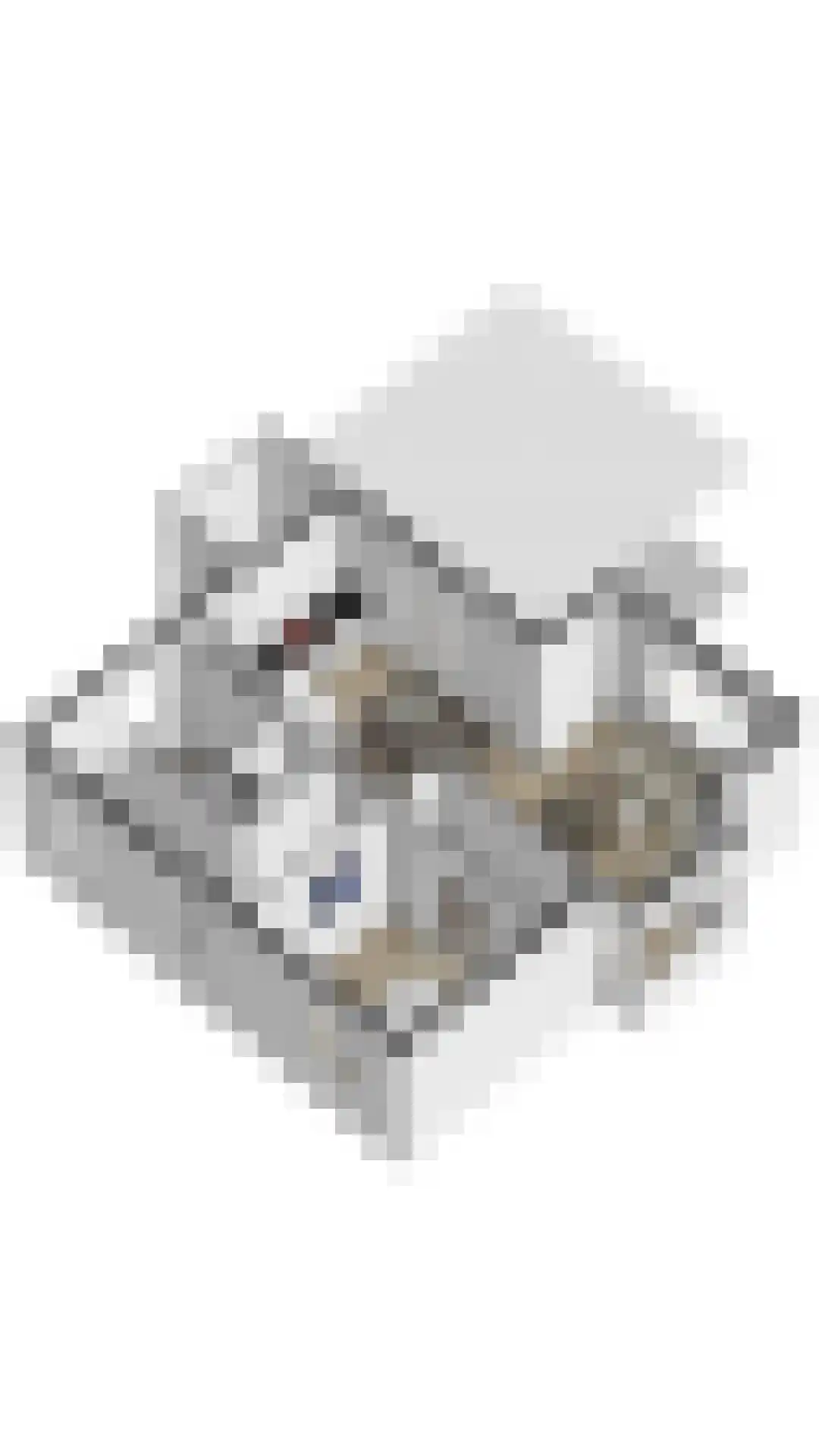 Laan van Cavelot 4 Cadzand thumbnail 26