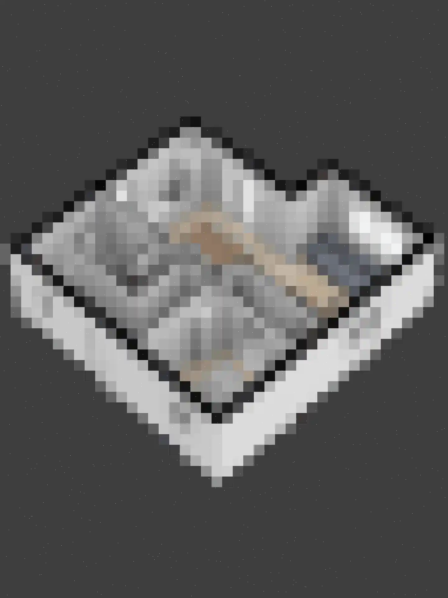 Laan van Cavelot 56 Cadzand thumbnail 26