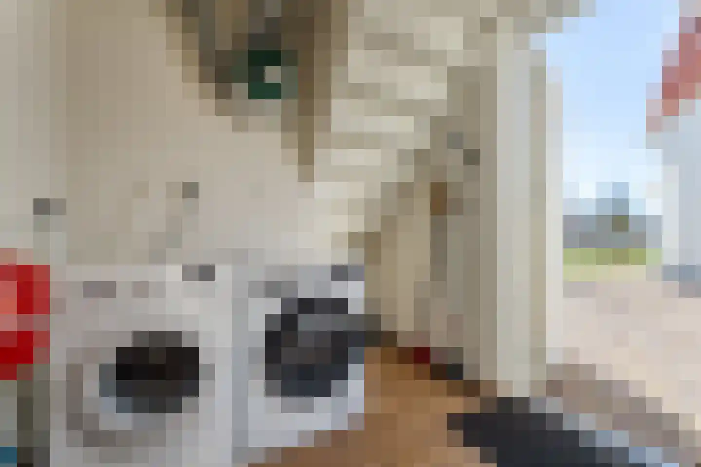 Laan van Cavelot 6 Cadzand thumbnail 16