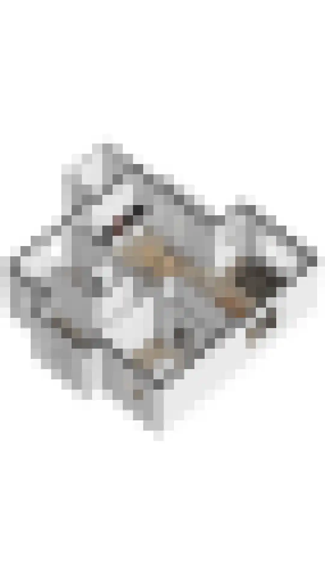 Laan van Cavelot 6 Cadzand thumbnail 28