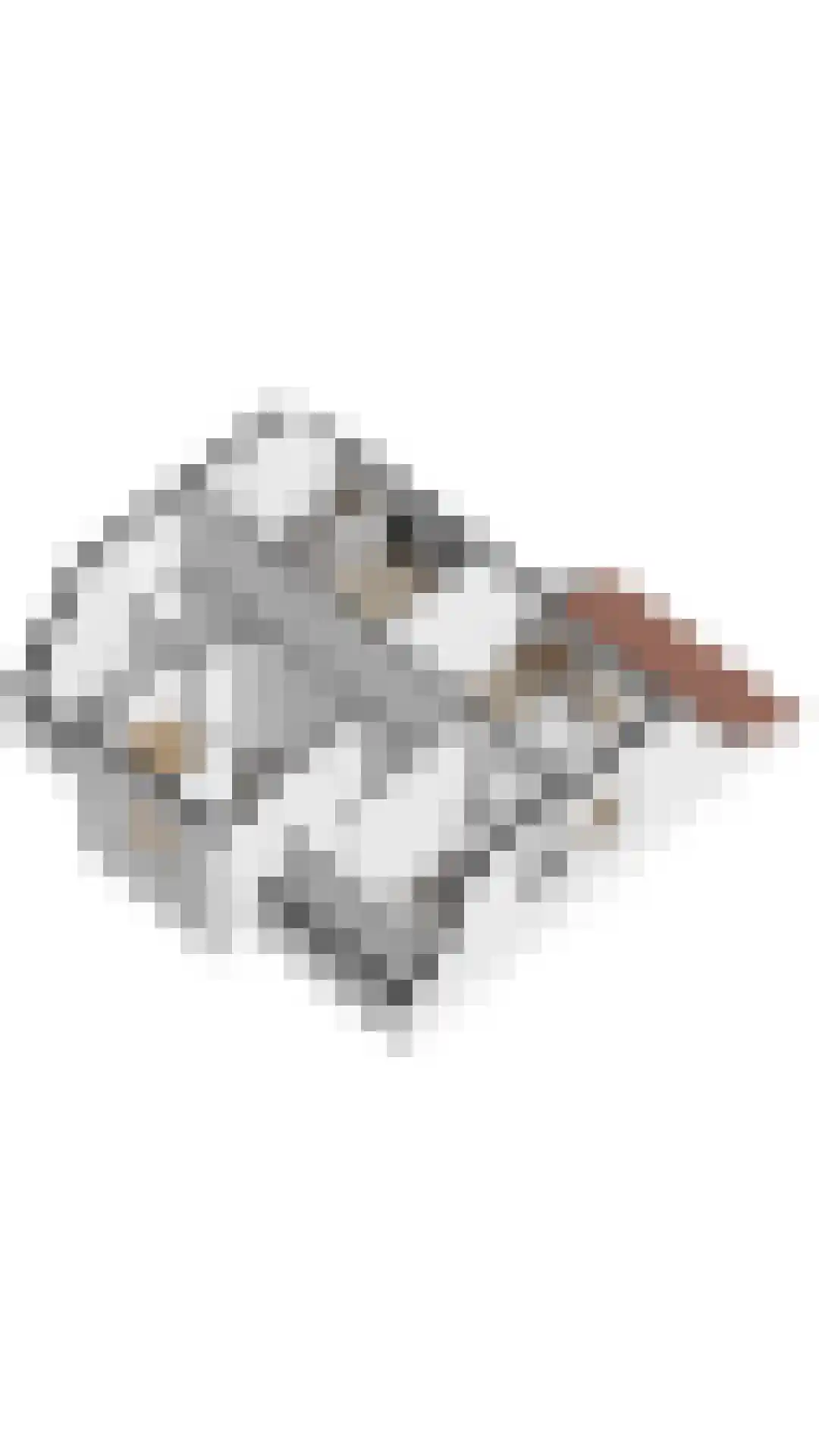 Laan van Cavelot 6 Cadzand thumbnail 29