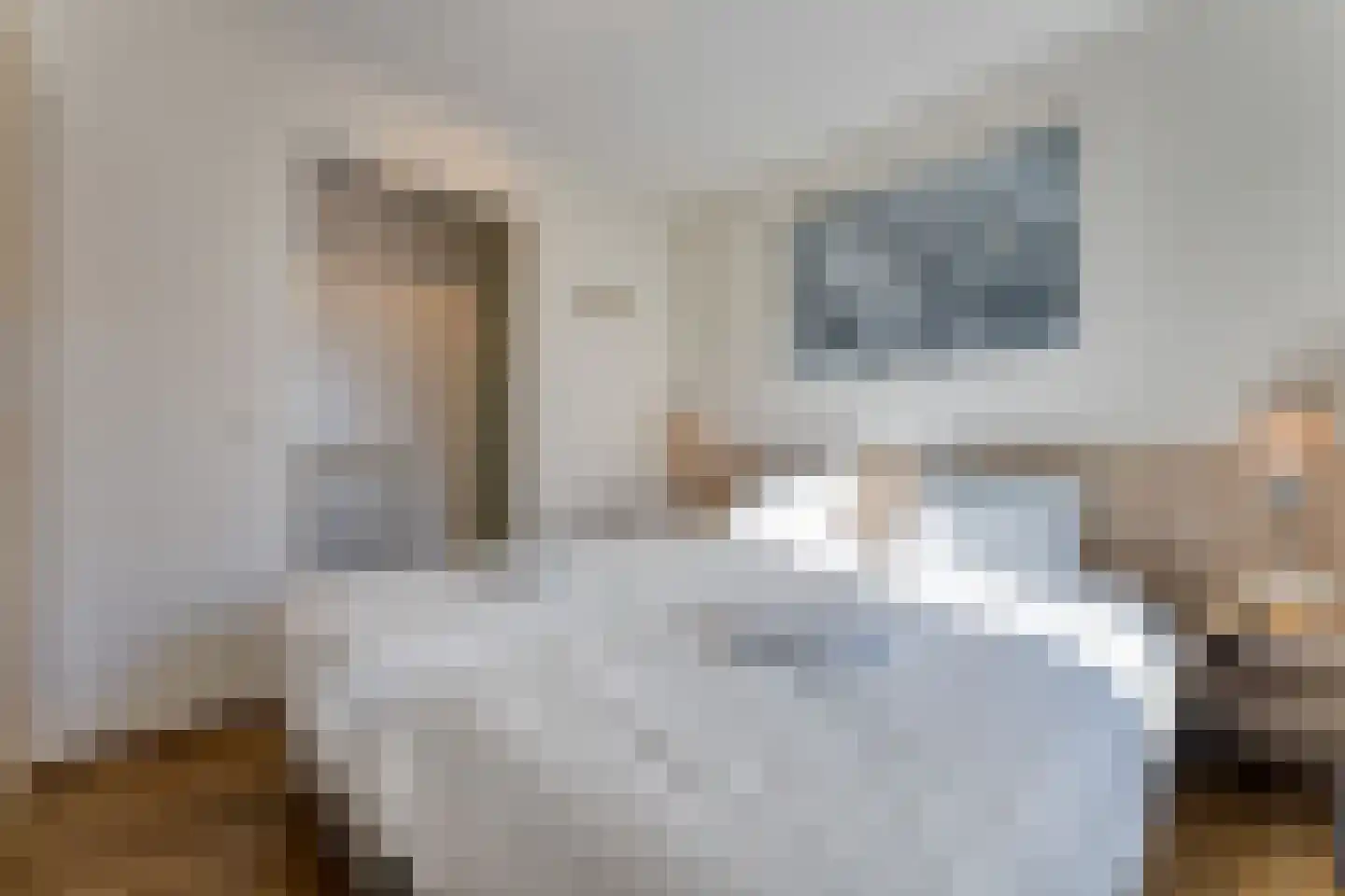 Laan van Cavelot 6 Cadzand thumbnail 4