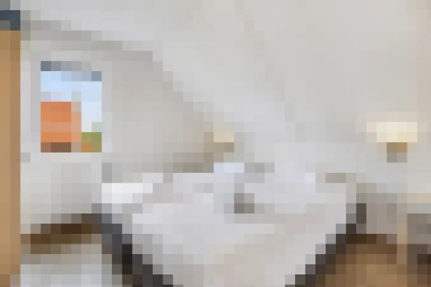 Laan van Cavelot 92 Cadzand thumbnail 24