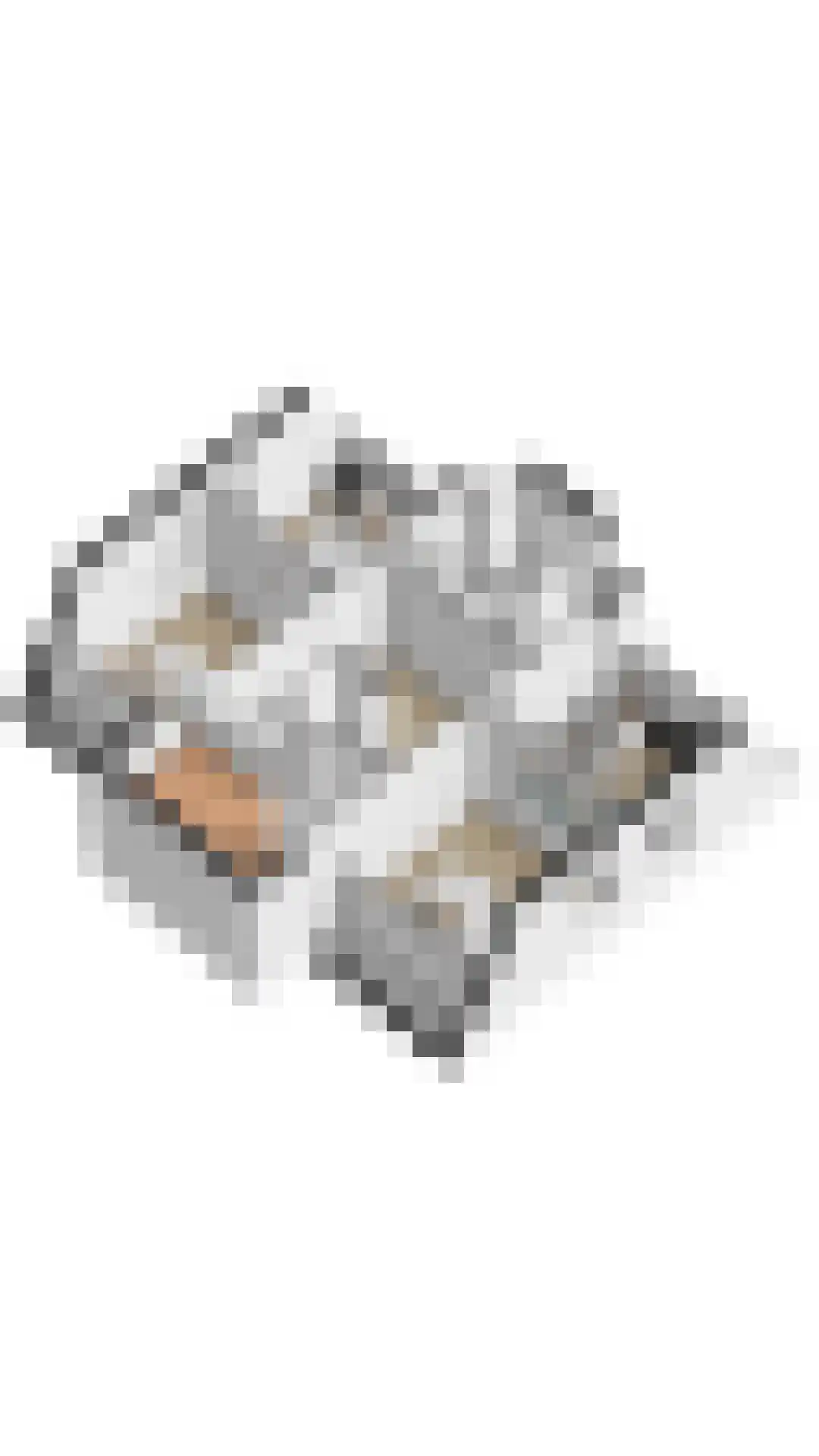 Laan van Cavelot 92 Cadzand thumbnail 33