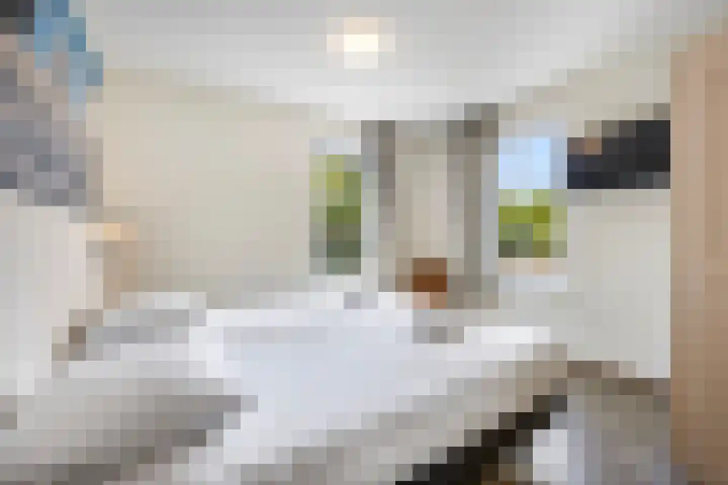 Laan van Cavelot 92 Cadzand thumbnail 4