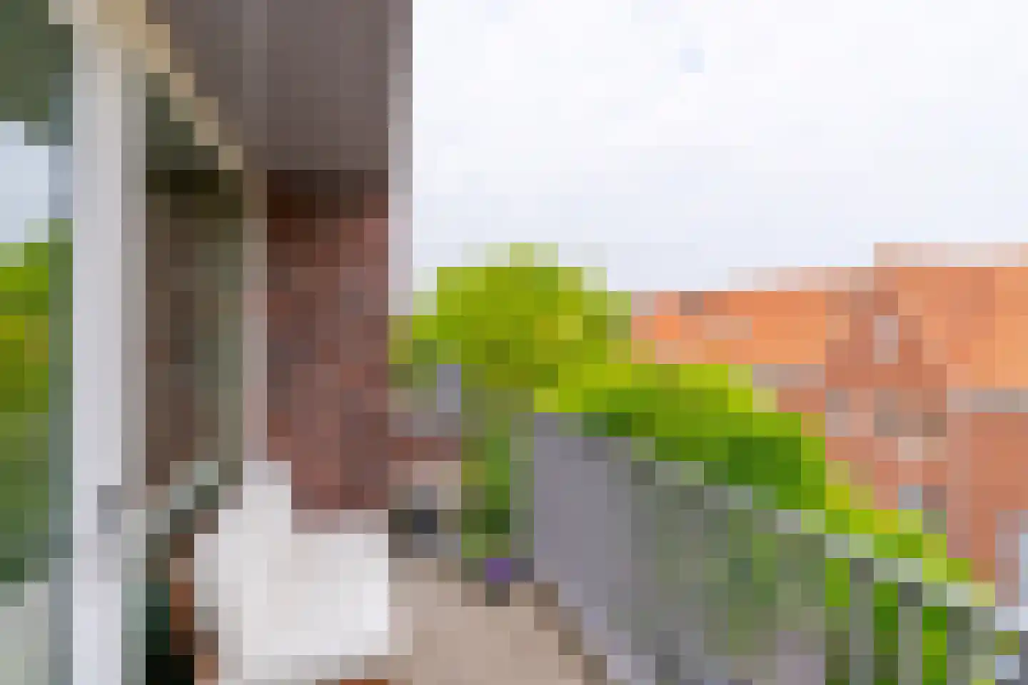 Laan van Chartroise 102 A Utrecht thumbnail 14