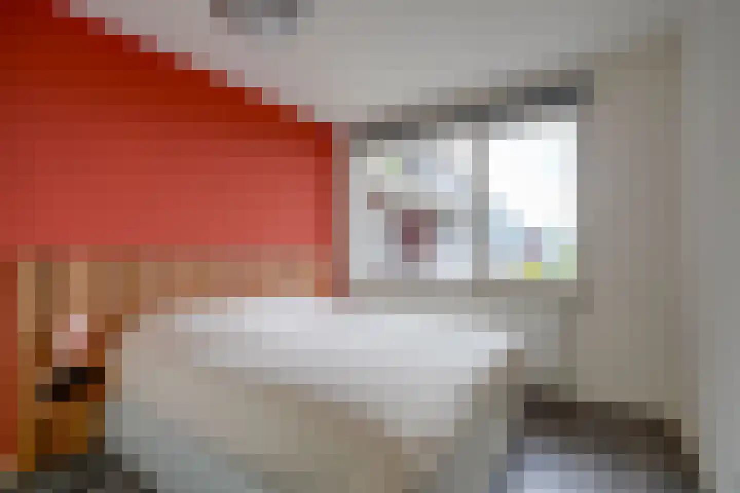 Laan van Chartroise 102 A Utrecht thumbnail 17