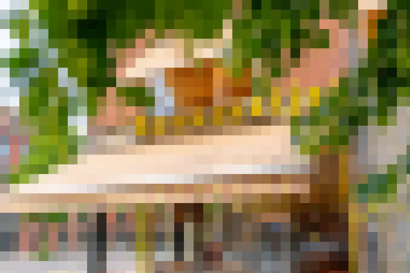 Laan van Chartroise 102 A Utrecht thumbnail 31