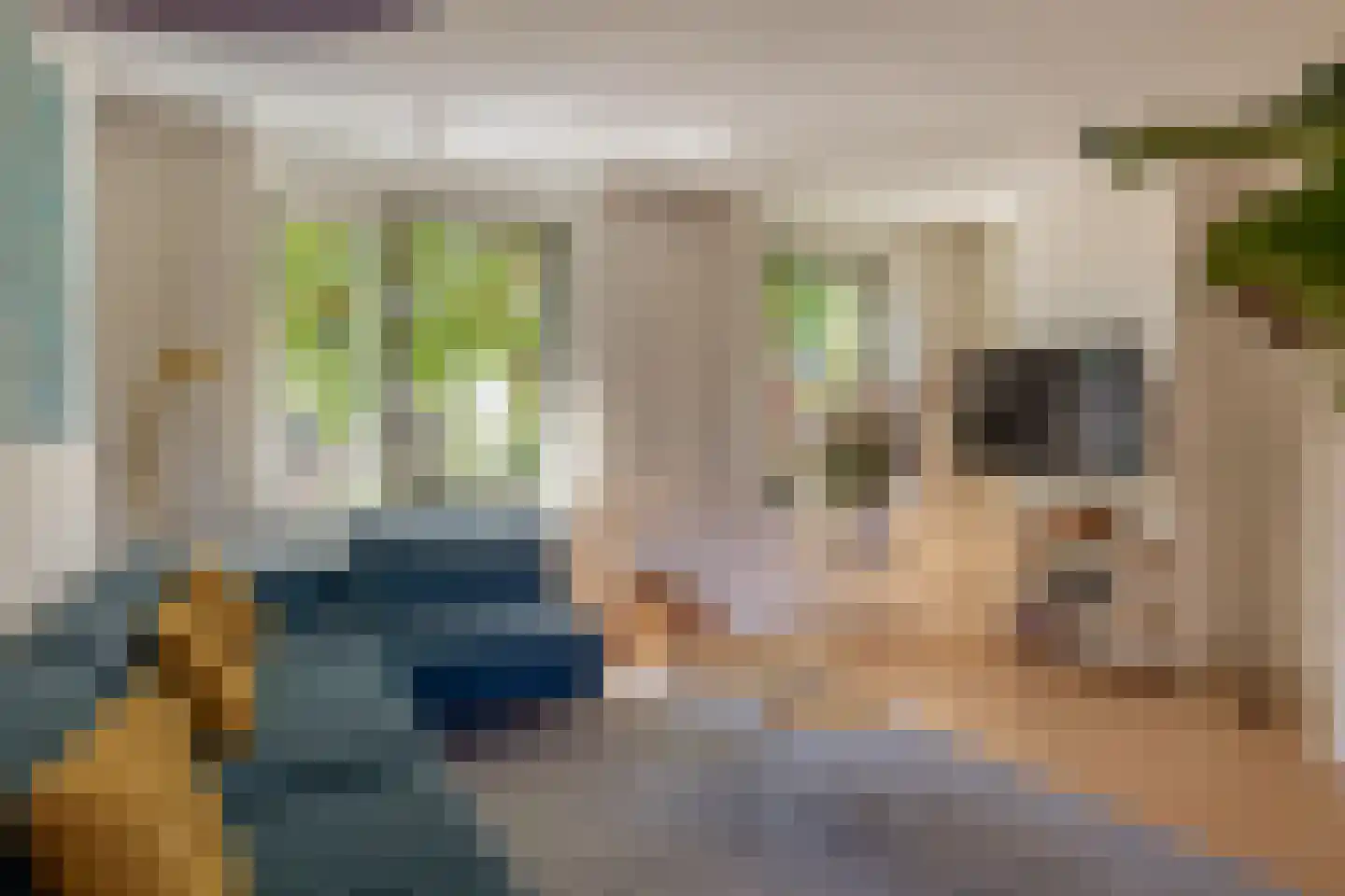 Laan van Chartroise 217 Utrecht thumbnail 19