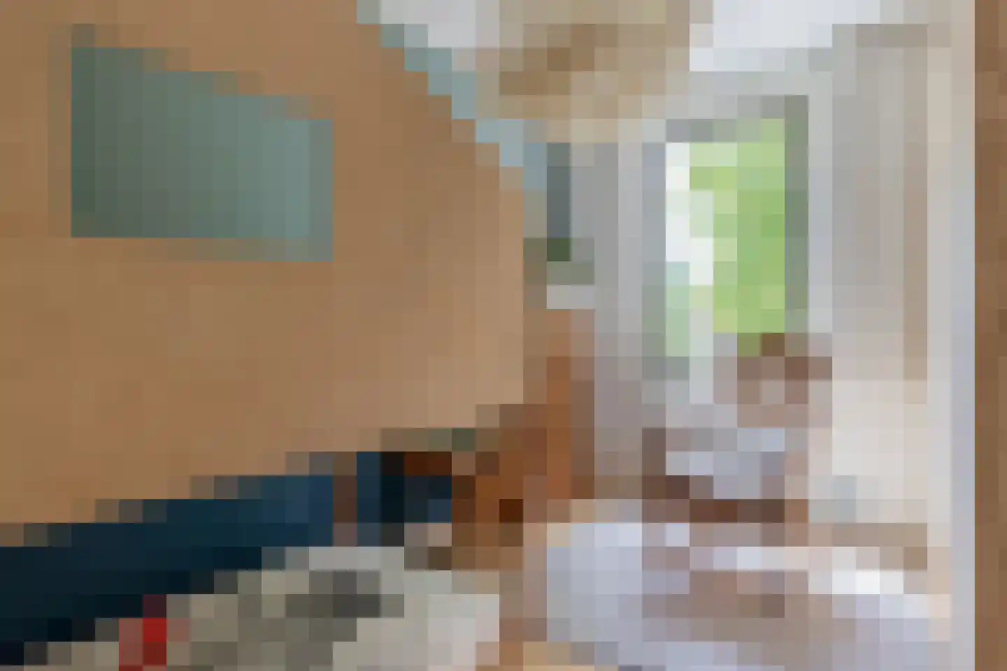 Laan van Chartroise 217 Utrecht thumbnail 28