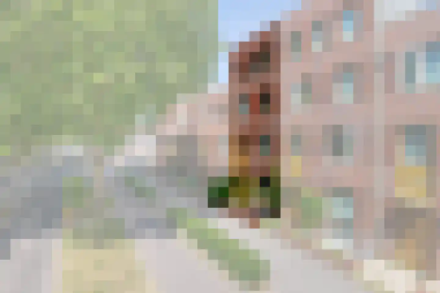 Laan van Chartroise 217 Utrecht thumbnail 39