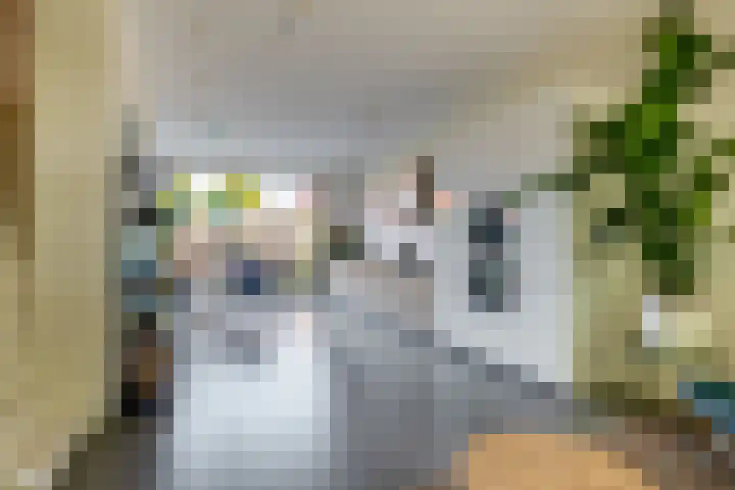 Laan van Chartroise 217 Utrecht thumbnail 8