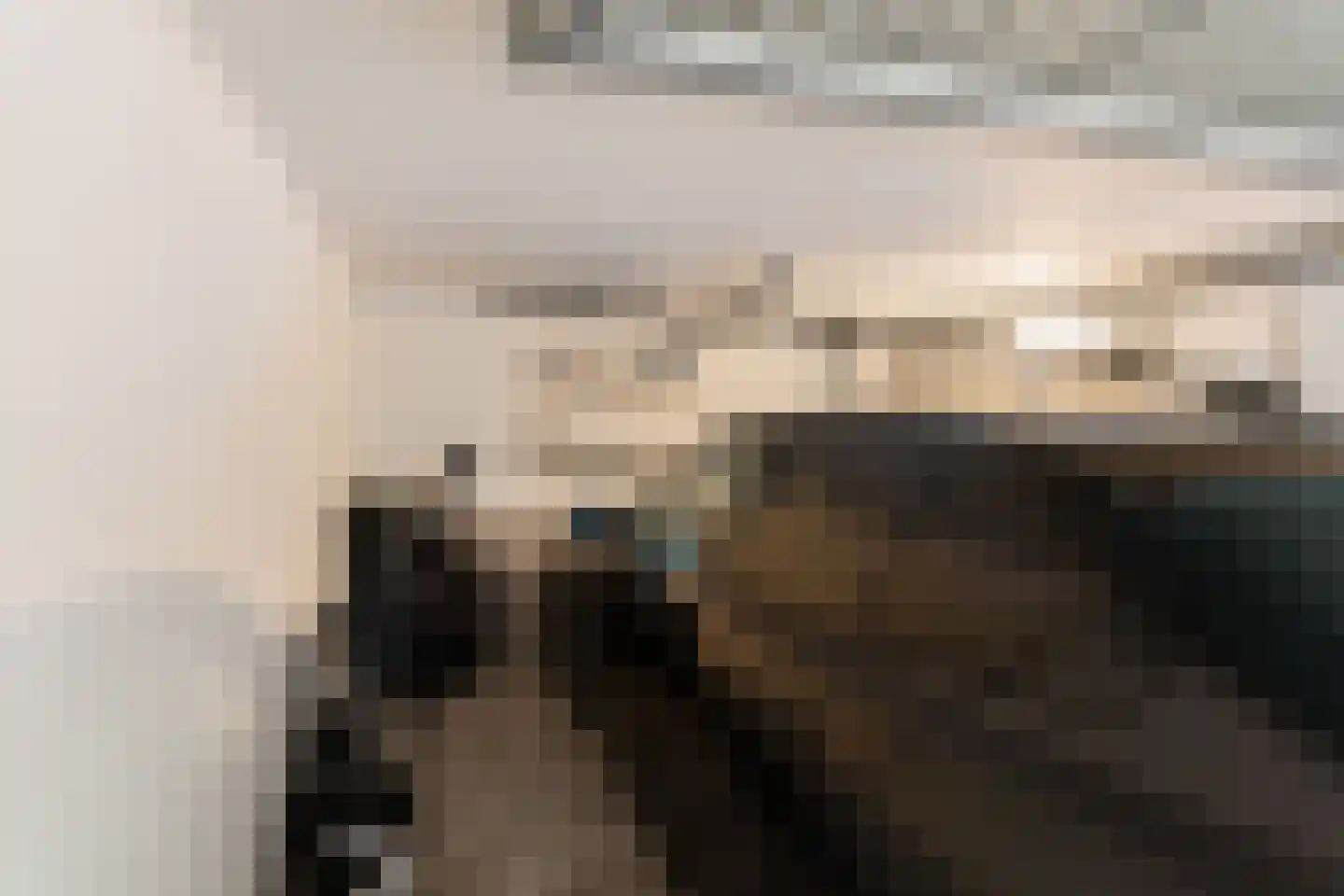 Laan van Clingendael 116 Den Haag thumbnail 4