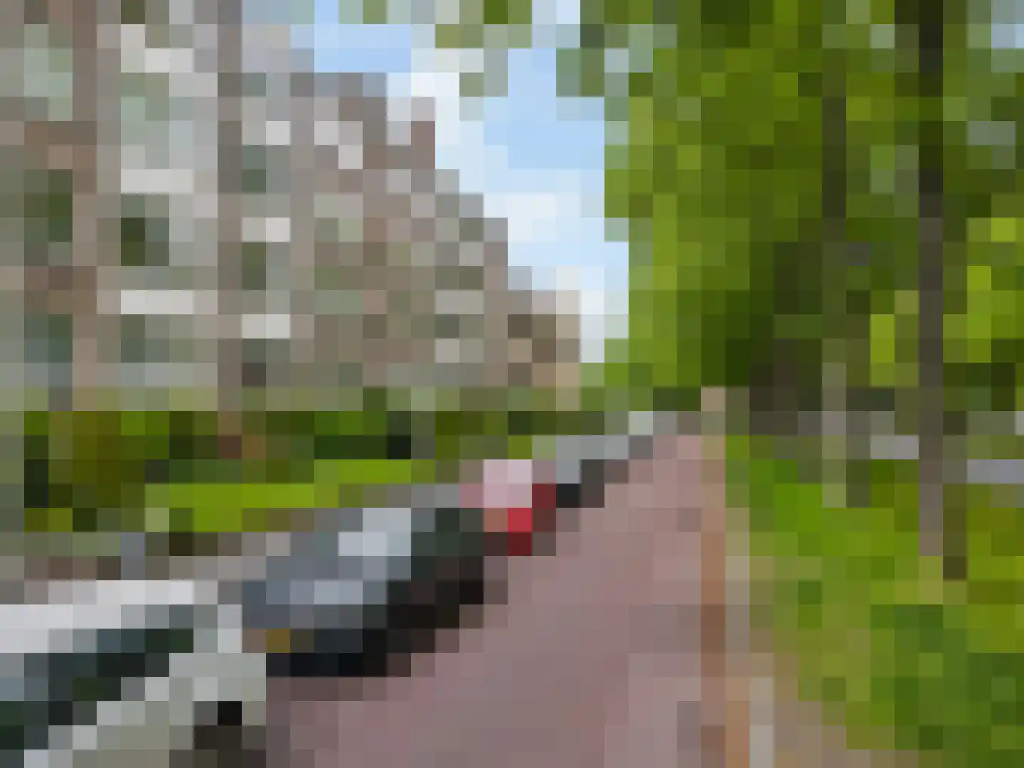 Laan van Clingendael 142 Den Haag