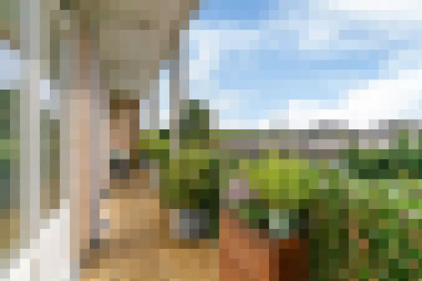 Laan van Clingendael 142 Den Haag thumbnail 12