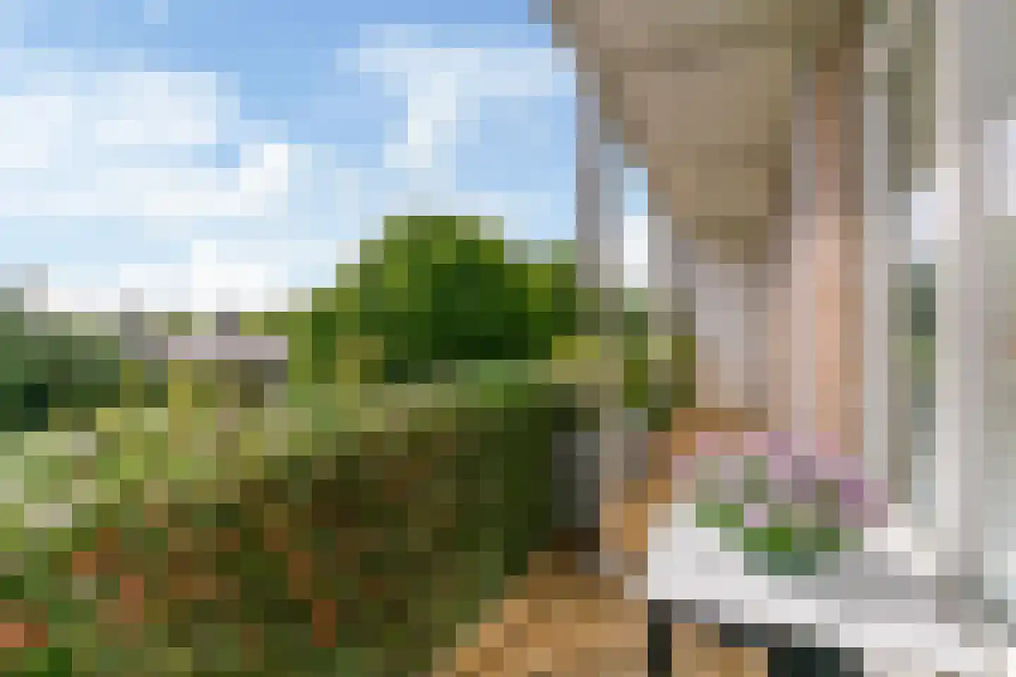 Laan van Clingendael 142 Den Haag thumbnail 14