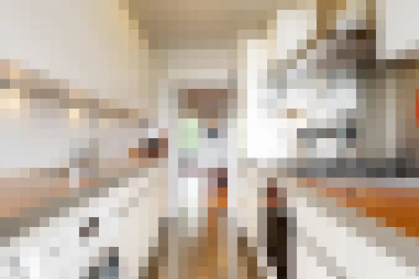 Laan van Clingendael 142 Den Haag thumbnail 15