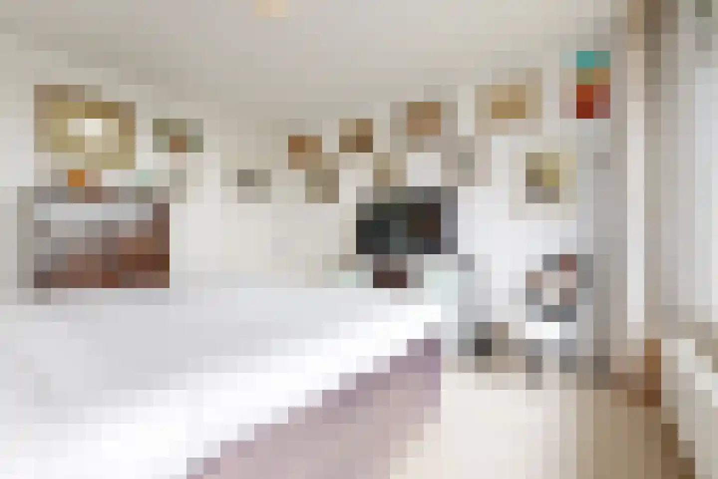 Laan van Clingendael 142 Den Haag thumbnail 17