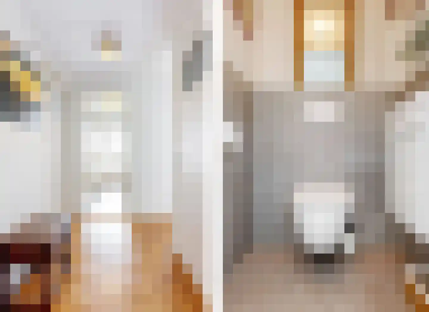 Laan van Clingendael 142 Den Haag thumbnail 26