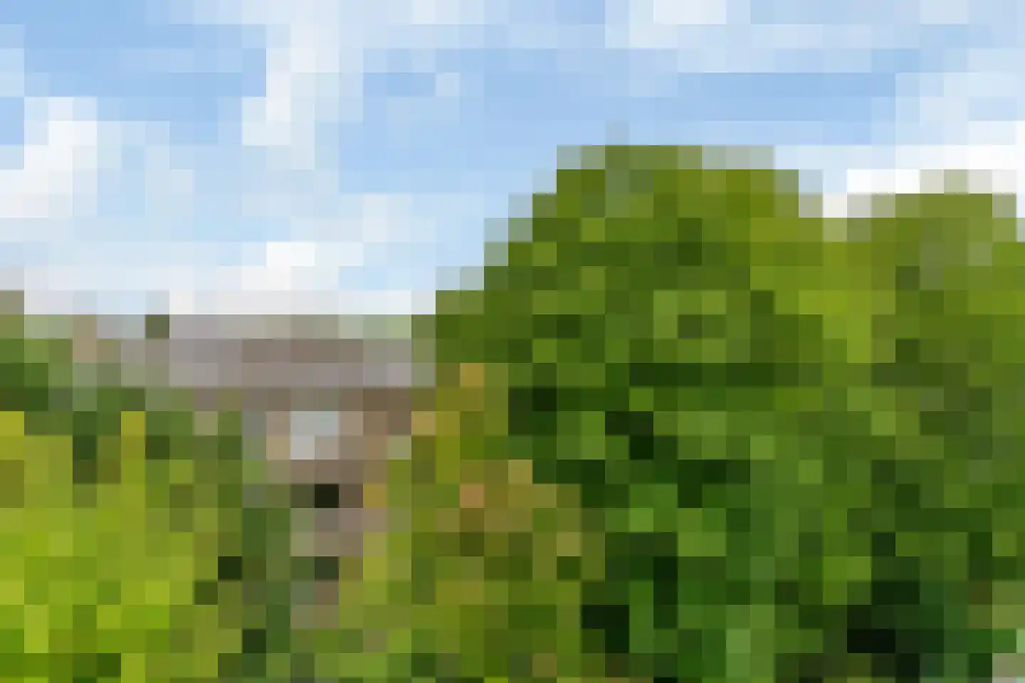 Laan van Clingendael 142 Den Haag thumbnail 32