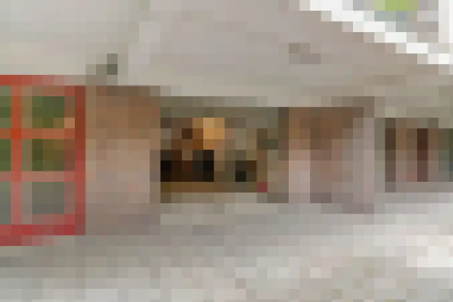 Laan van Clingendael 142 Den Haag thumbnail 34