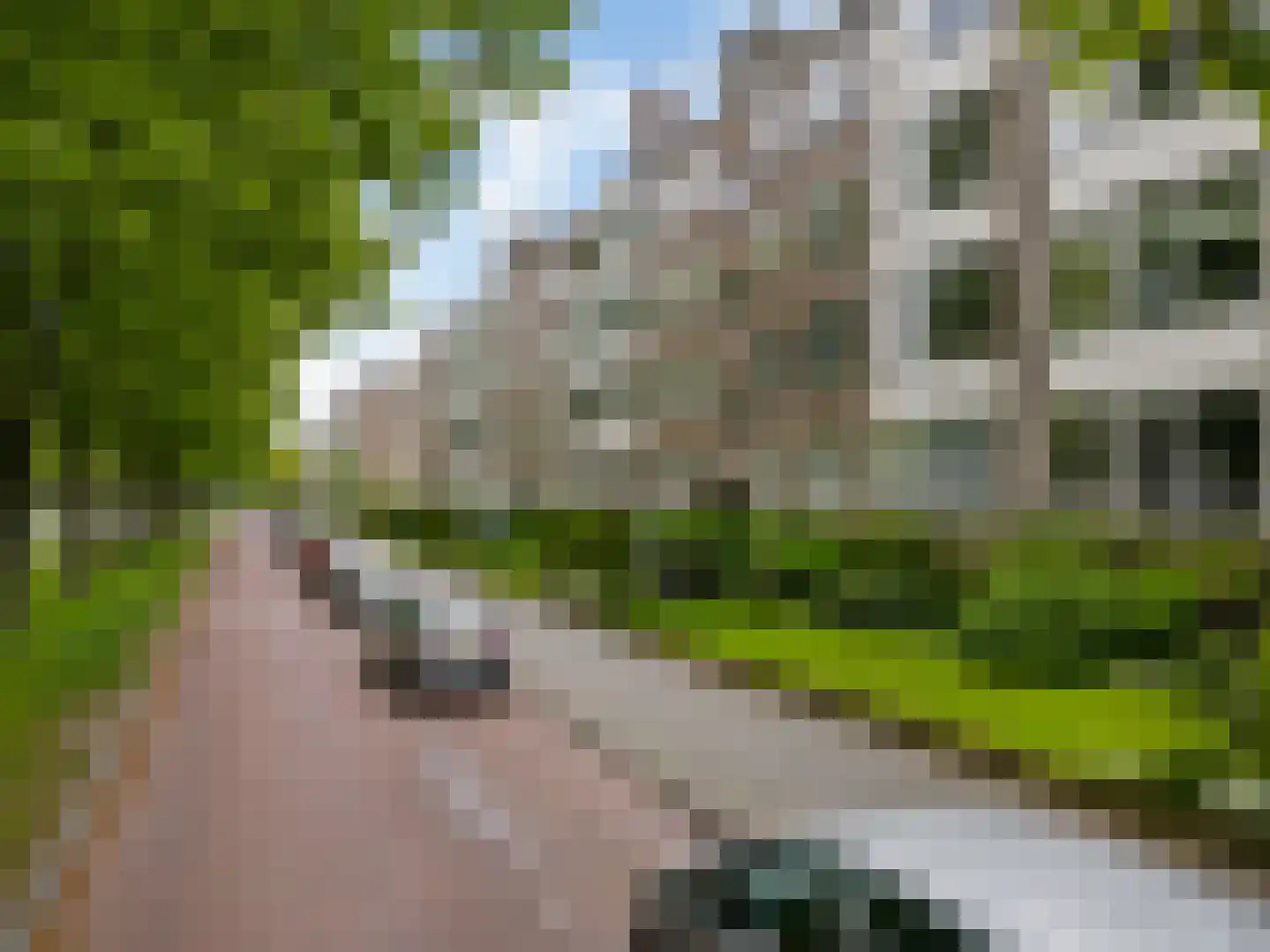 Laan van Clingendael 142 Den Haag thumbnail 37