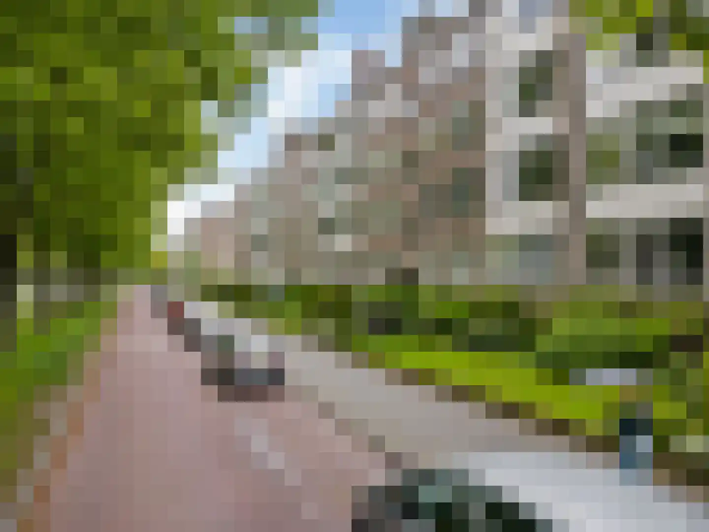 Laan van Clingendael 142 Den Haag thumbnail 37