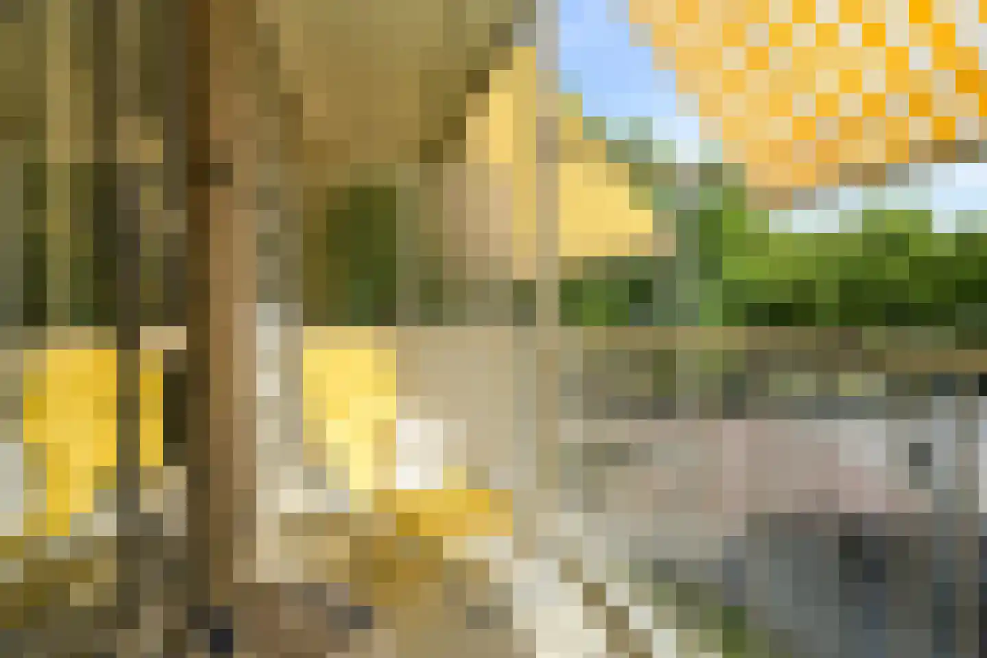 Laan van Clingendael 23 Den Haag thumbnail 16
