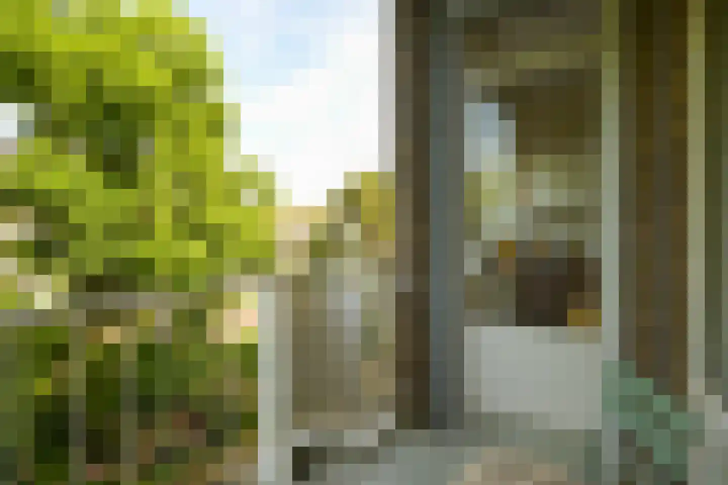 Laan van Clingendael 23 Den Haag thumbnail 24