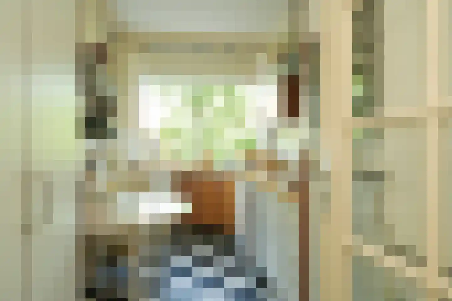 Laan van Clingendael 23 Den Haag thumbnail 27