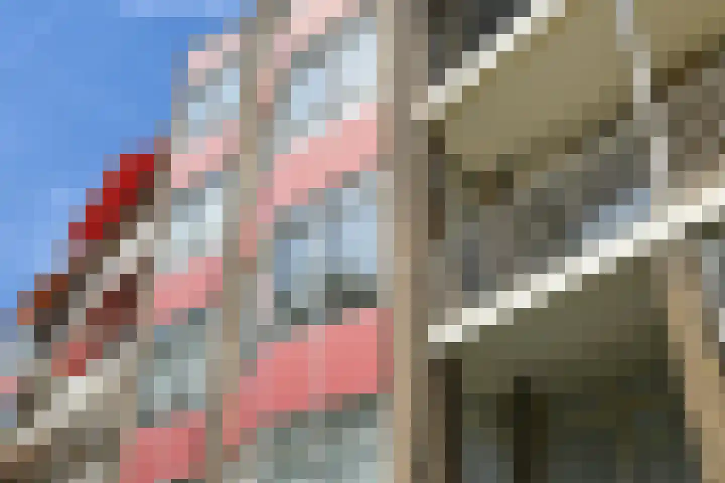 Laan van Clingendael 23 Den Haag thumbnail 4