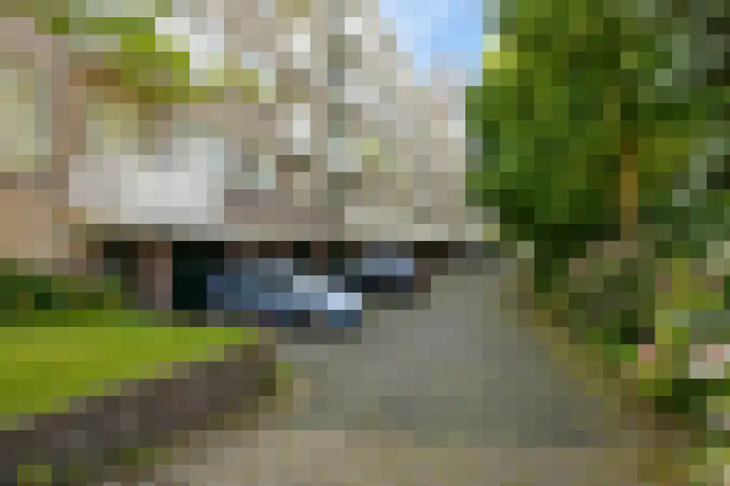 Laan van Clingendael 23 Den Haag thumbnail 40