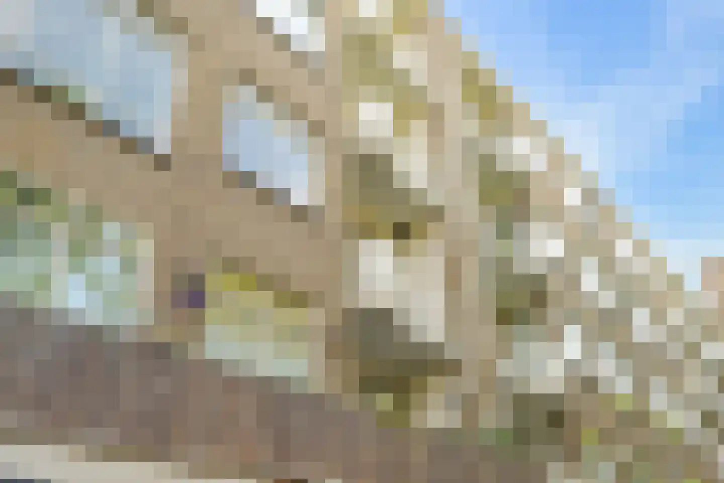 Laan van Clingendael 23 Den Haag thumbnail 41