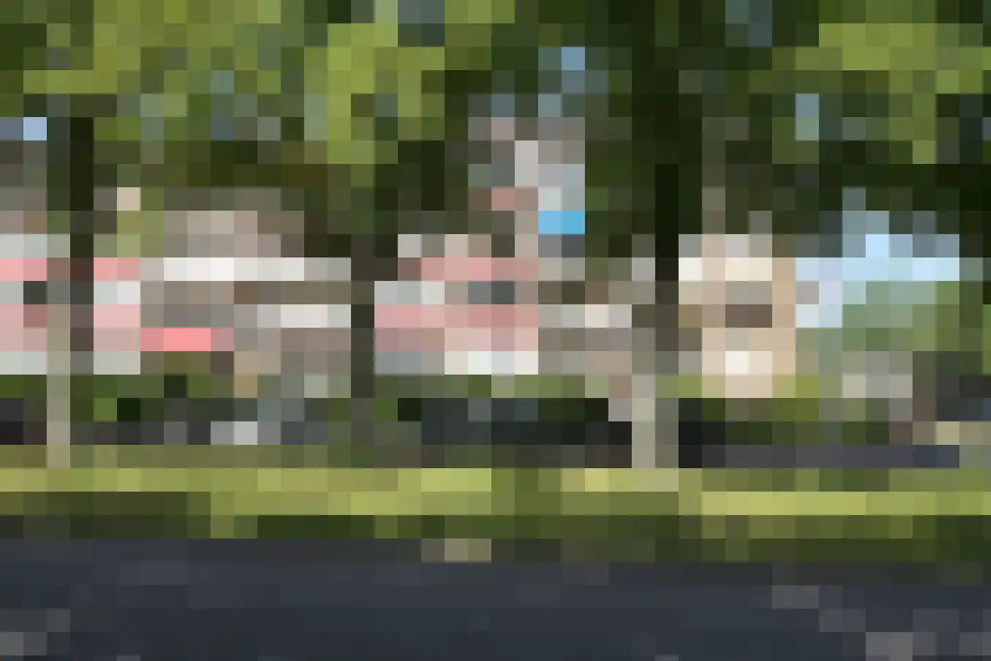 Laan van Clingendael 23 Den Haag thumbnail 42