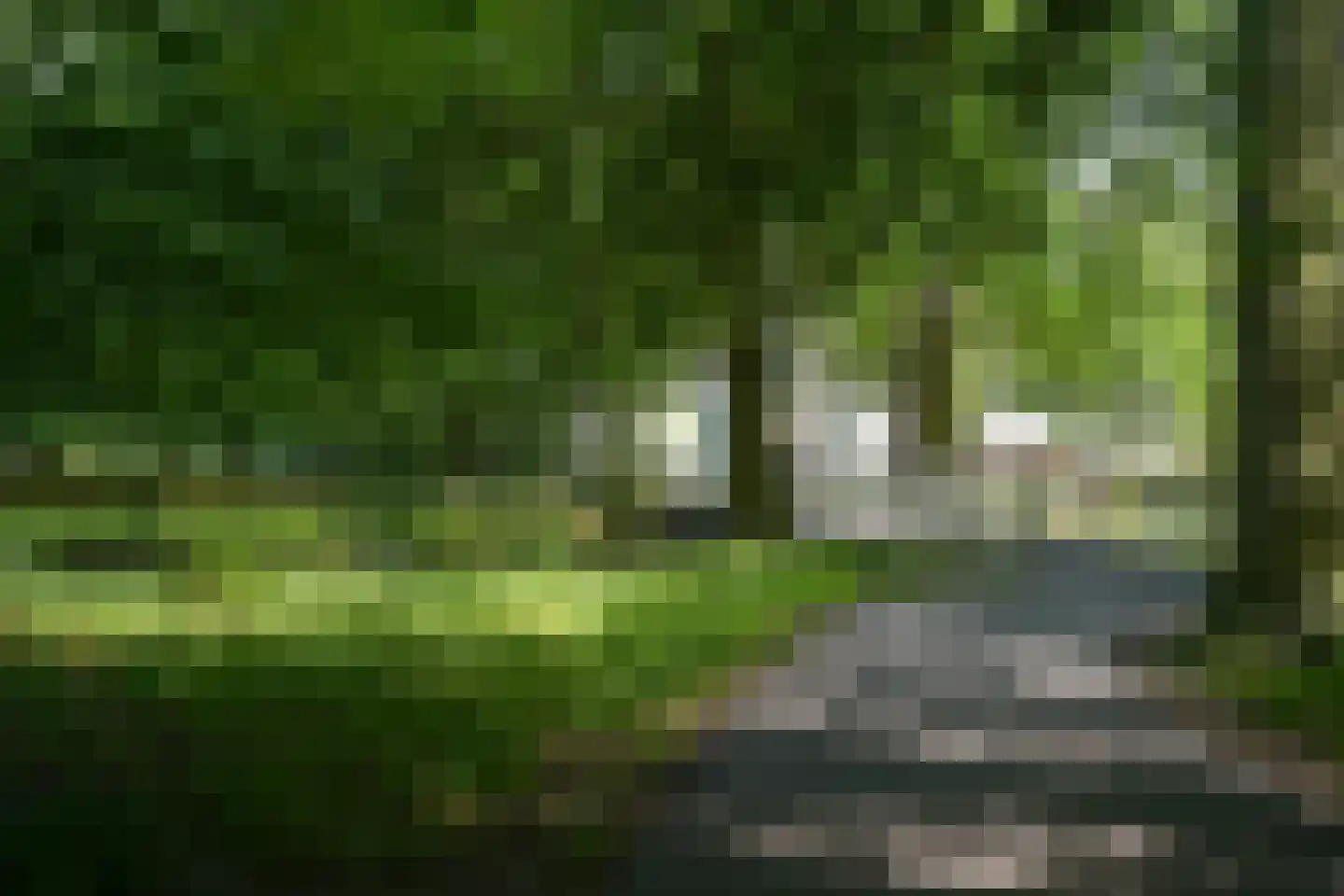 Laan van Clingendael 23 Den Haag thumbnail 45